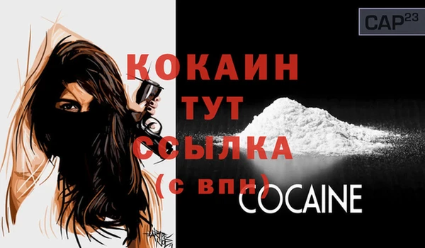 mdpv Белокуриха