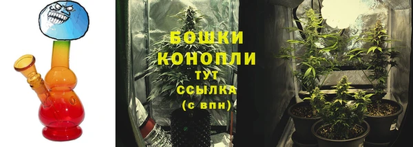 mdpv Белокуриха