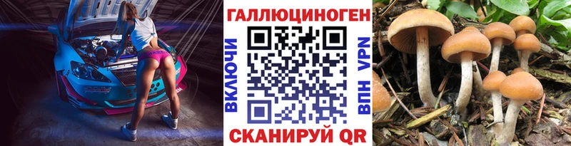 Галлюциногенные грибы Cubensis где купить наркоту Уссурийск